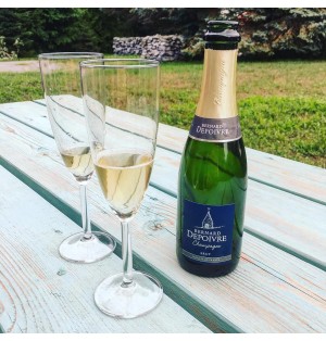 CHAMPAGNE BERNARD DEPOIVRE 1/2BT BRUT