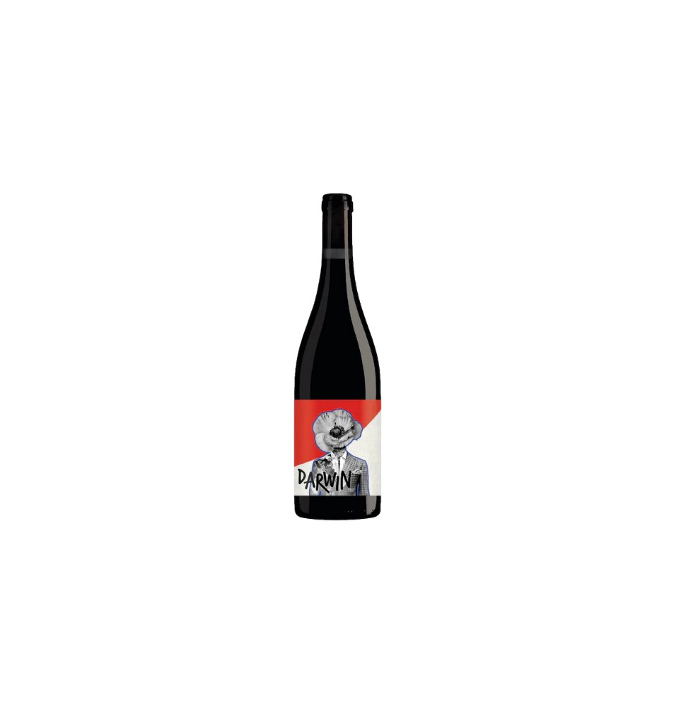 DARWIN CABERNET JURA 2021-75CL-12.5%ALC./VOL.-WINE IMPACT DARWIN CABERNET JURA 2021-75CL-12.5%ALC./VOL.-WINE IMPACT