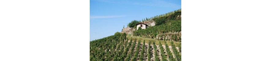 HERMITAGE Martinelles Colombier Rouge et Blanc